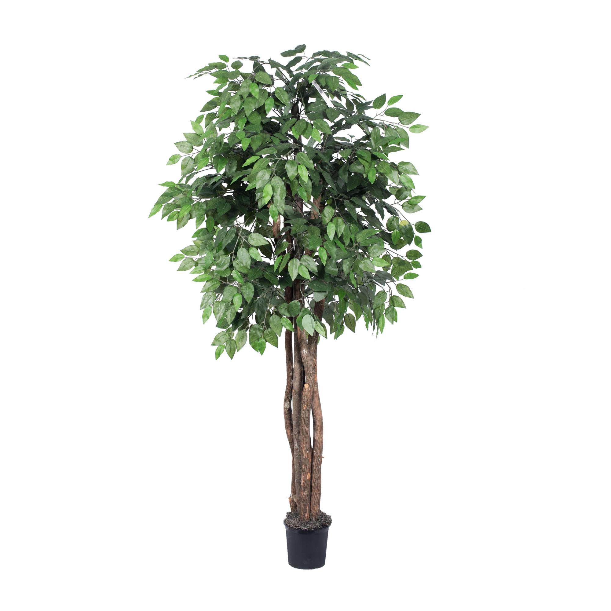 6' Green Silk Ficus Tree with Black Plastic Pot