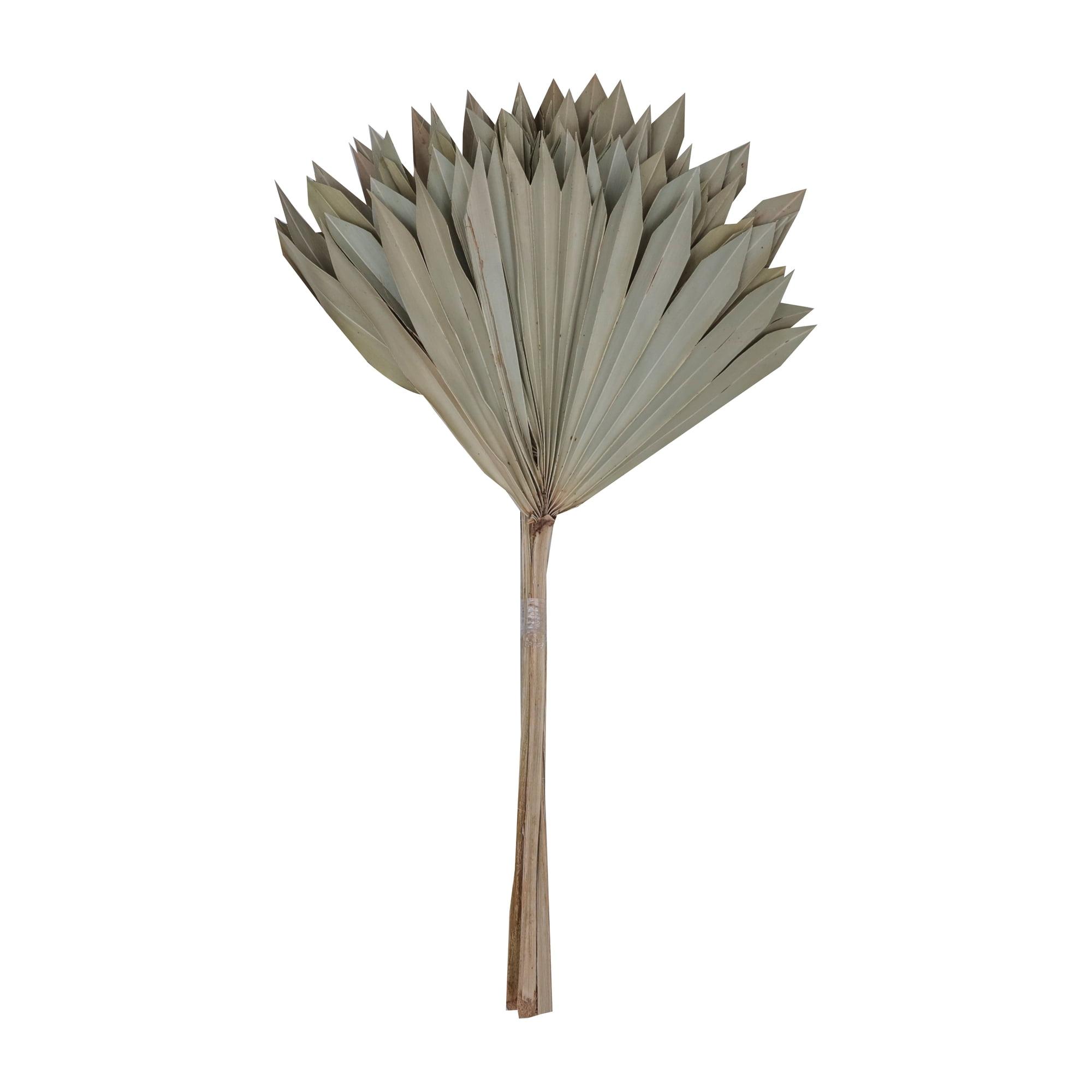 Vickerman Natural Botanicals 20" Natural Palm Sun Stem. Includes 12 Pieces per Bunch.