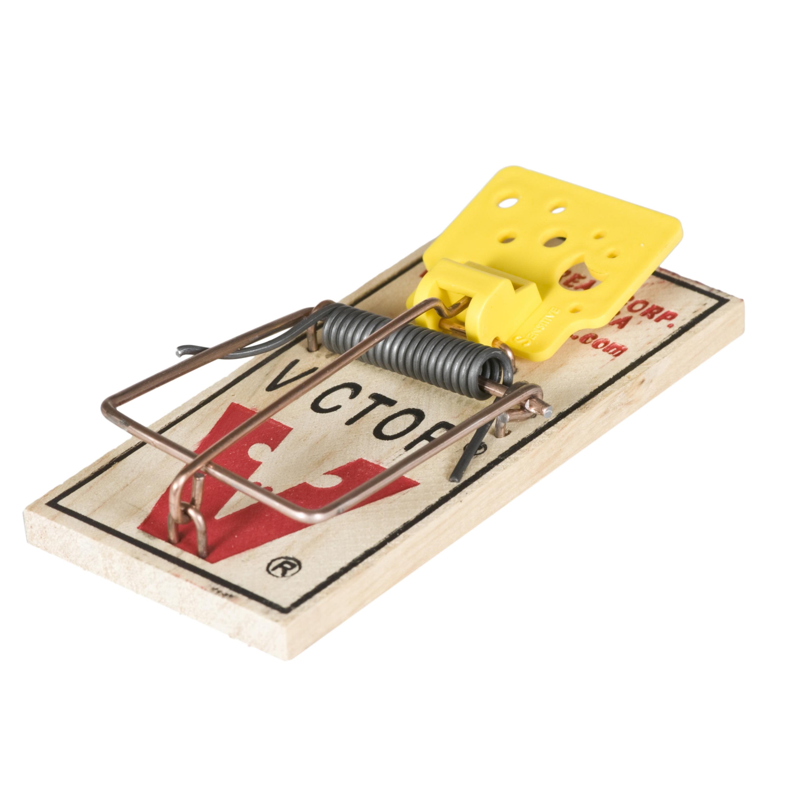 Victor Easy Set Mouse Traps - 2pk