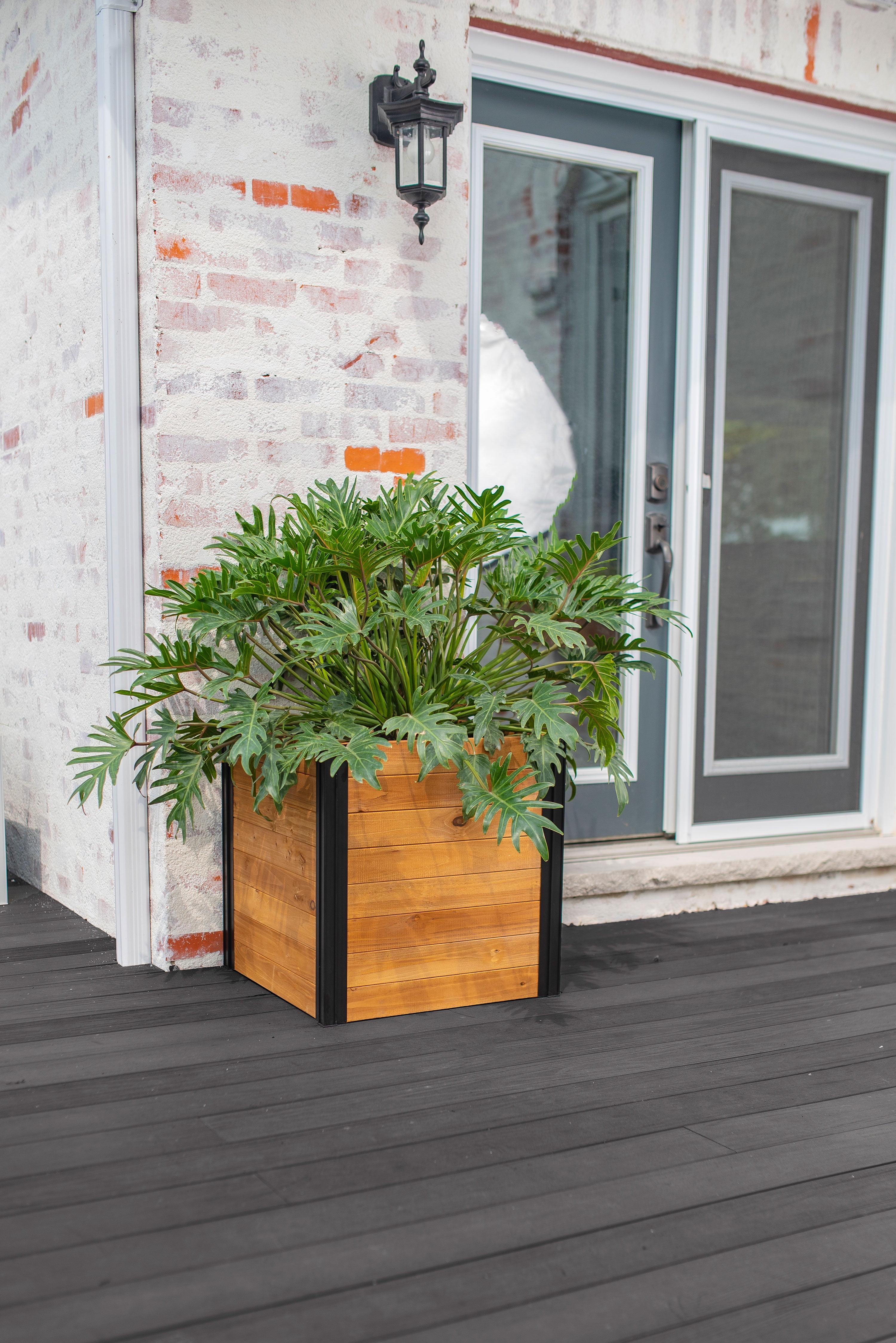 Mezza 22" Golden Brown Cedar Cube Planter with Modern Minimalist Design