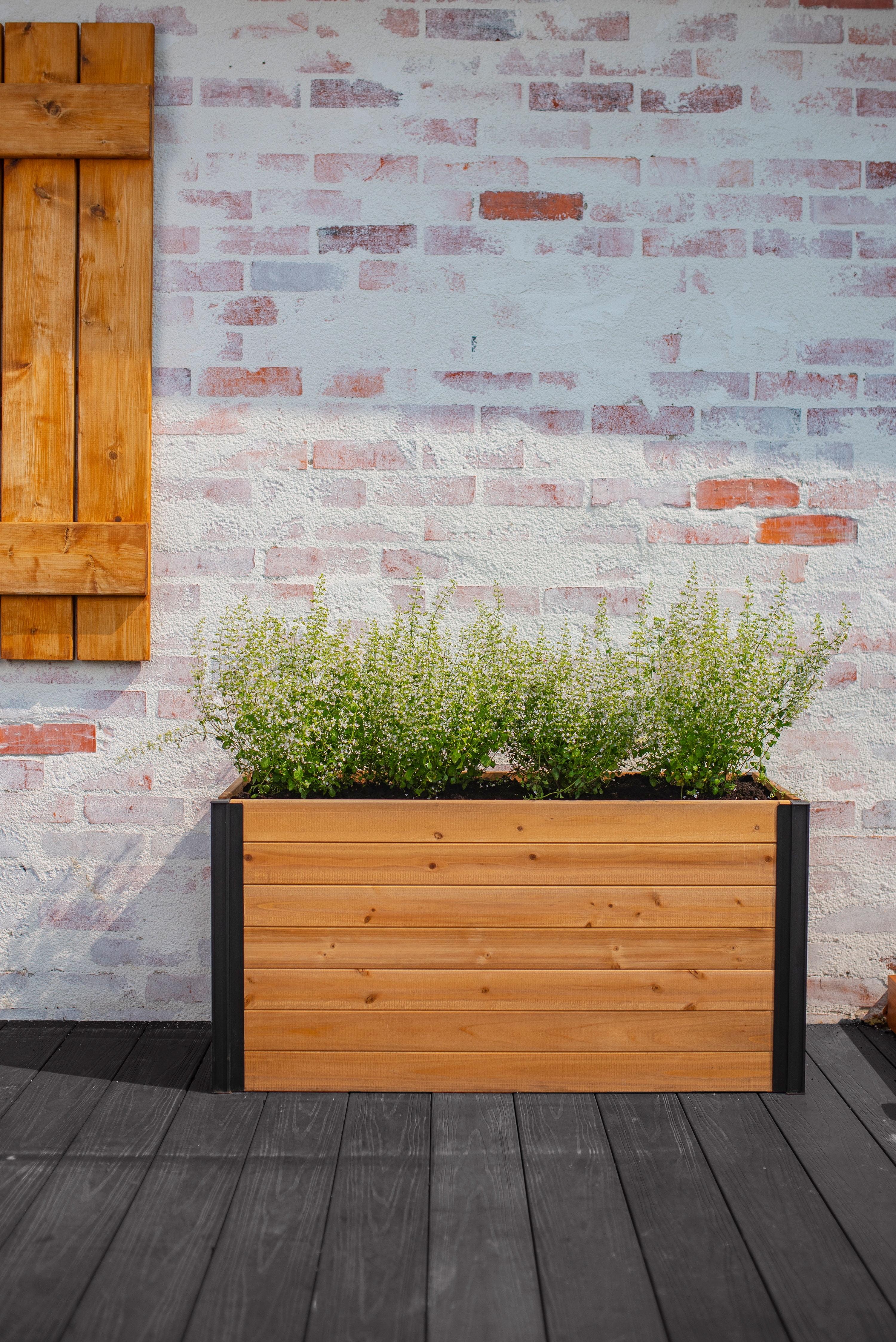 Mezza 39" Cedar Parklette Planter with Black Posts