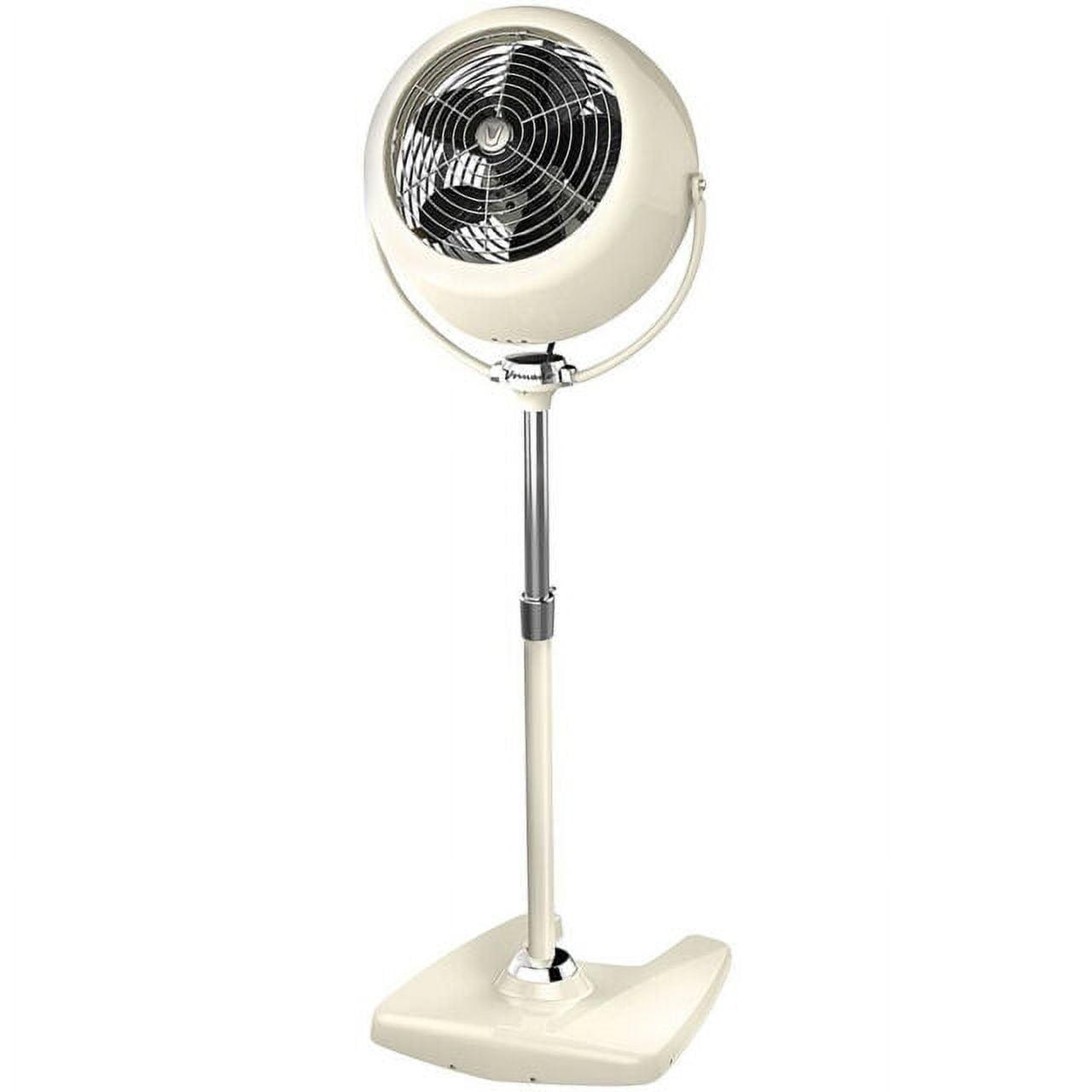 Senior Pedestal Standing Fan