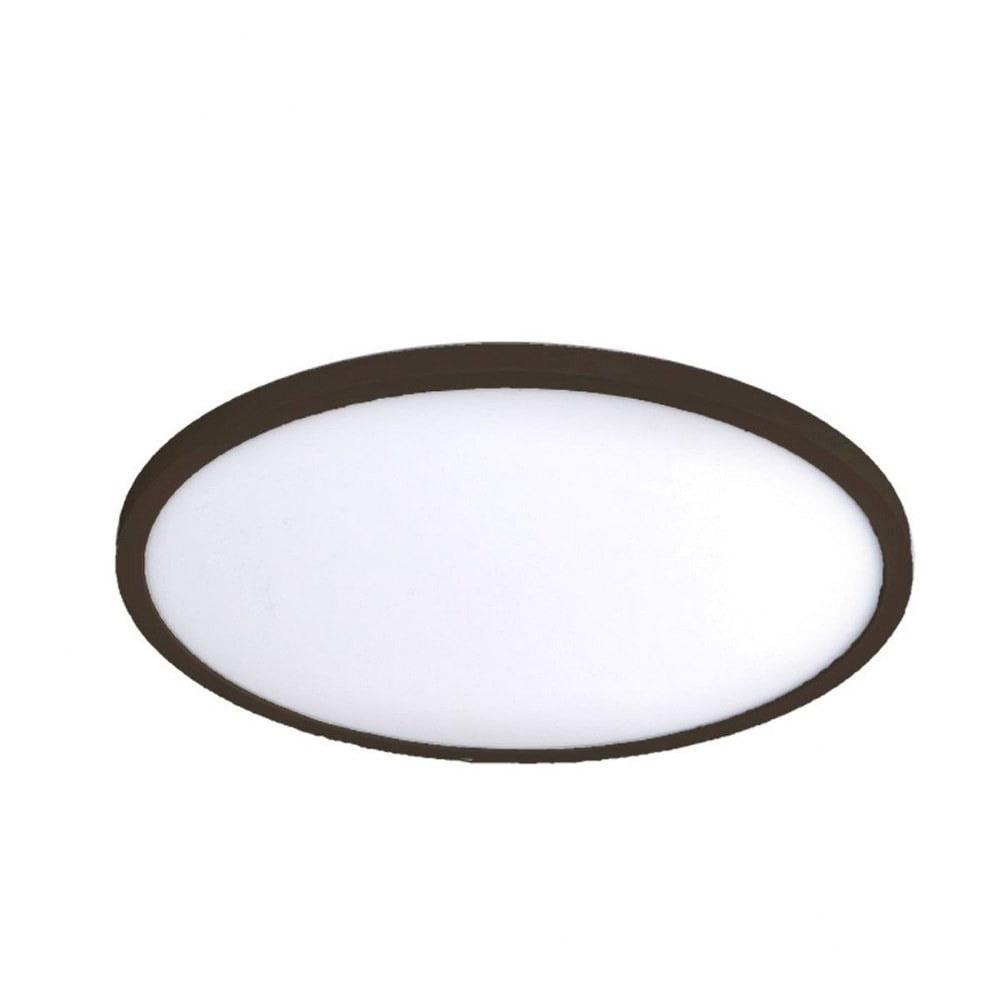 Simple Circle Dimmable LED Flush Mount Light