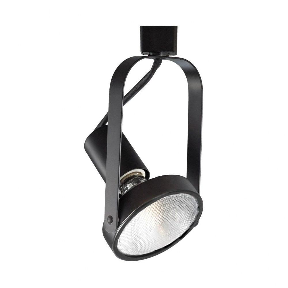 Sleek Black Aluminum Adjustable Track Lighting Head