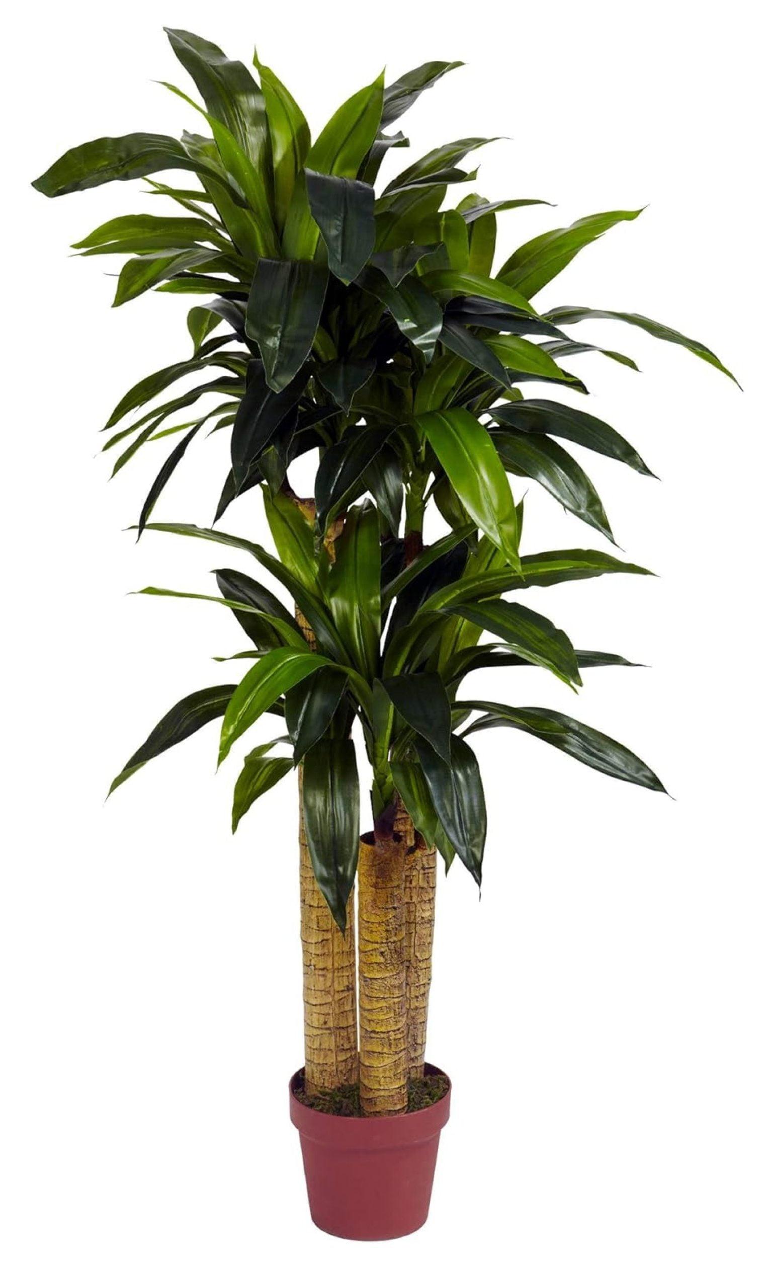 Lifelike Dracaena Silk Plant Arrangement with LED Lights - 50" Tall