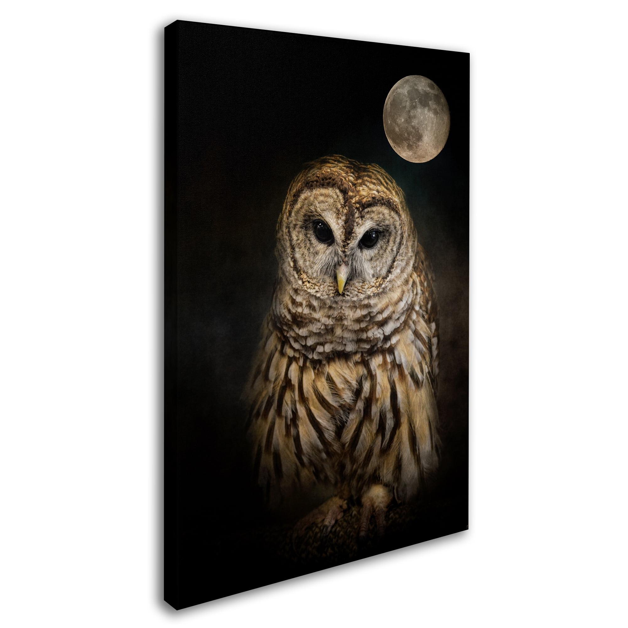 Trademark Fine Art Jai Johnson " Barred Owl And The Moon " by Jai Johnson