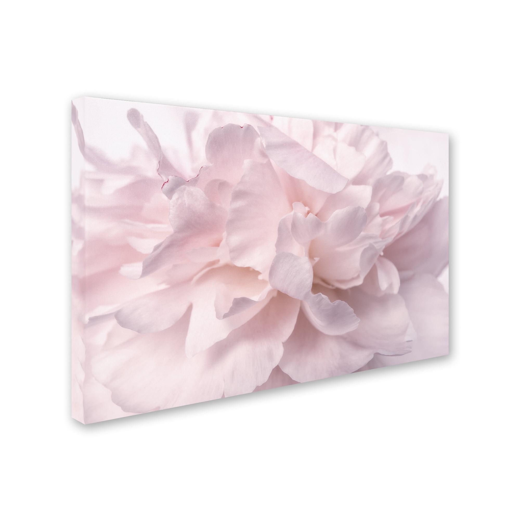 House of Hampton® " Pink Peony Petals II " by Cora Niele