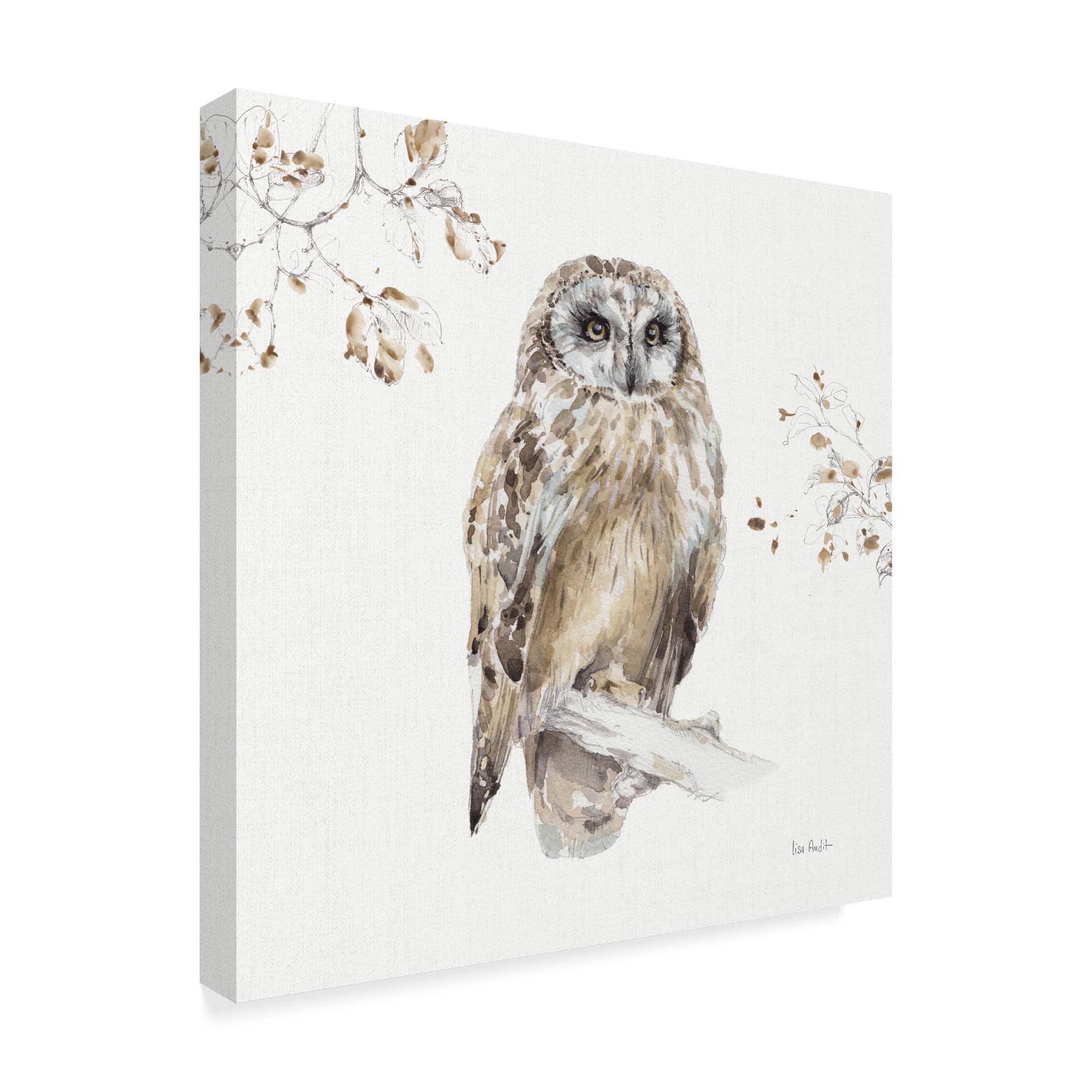 Lisa Audit 'Woodland Walk Viii Owl' Canvas Art - 14x14