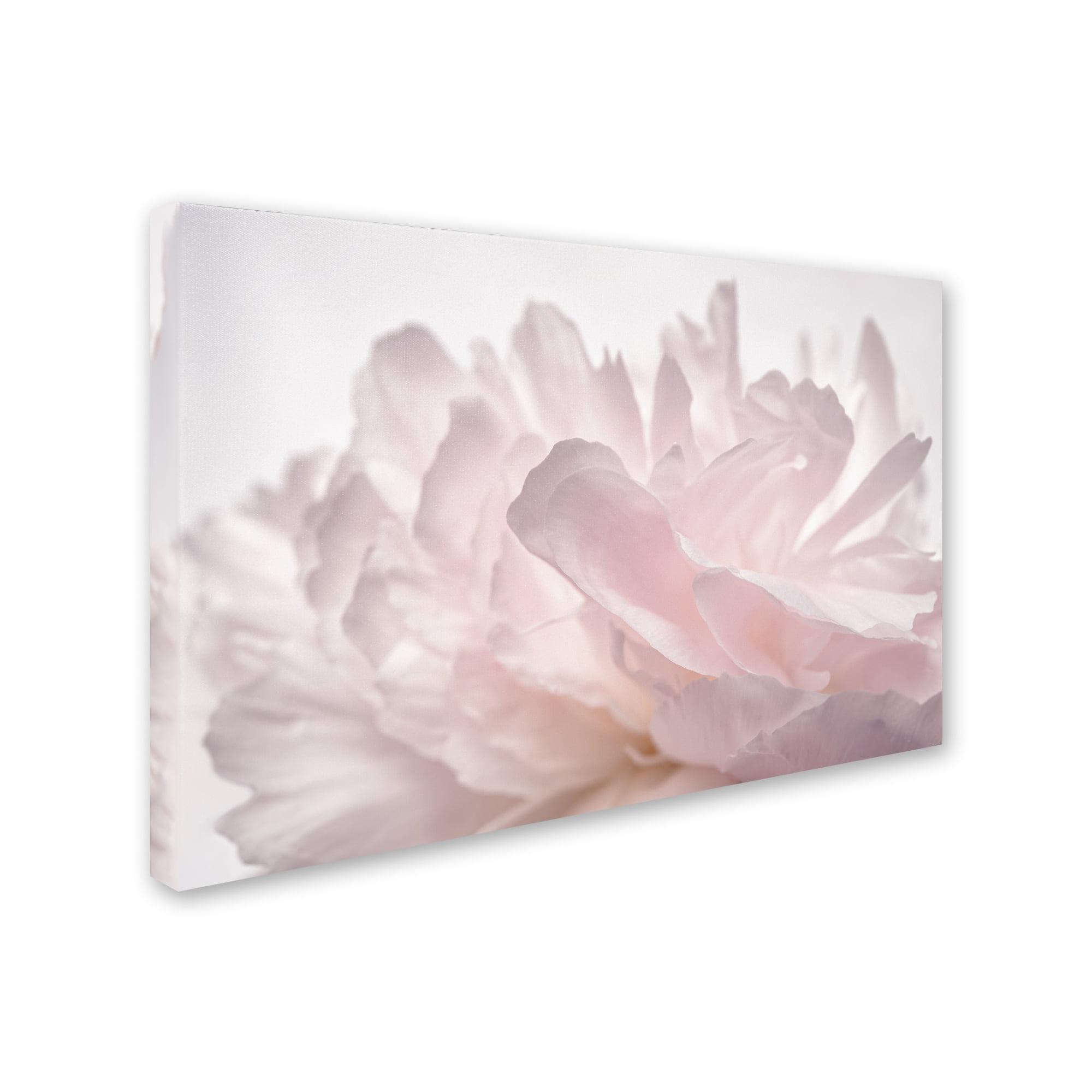 Trademark Fine Art -Cora Niele 'Pink Peony Petals V' Canvas Art - 22''x32''
