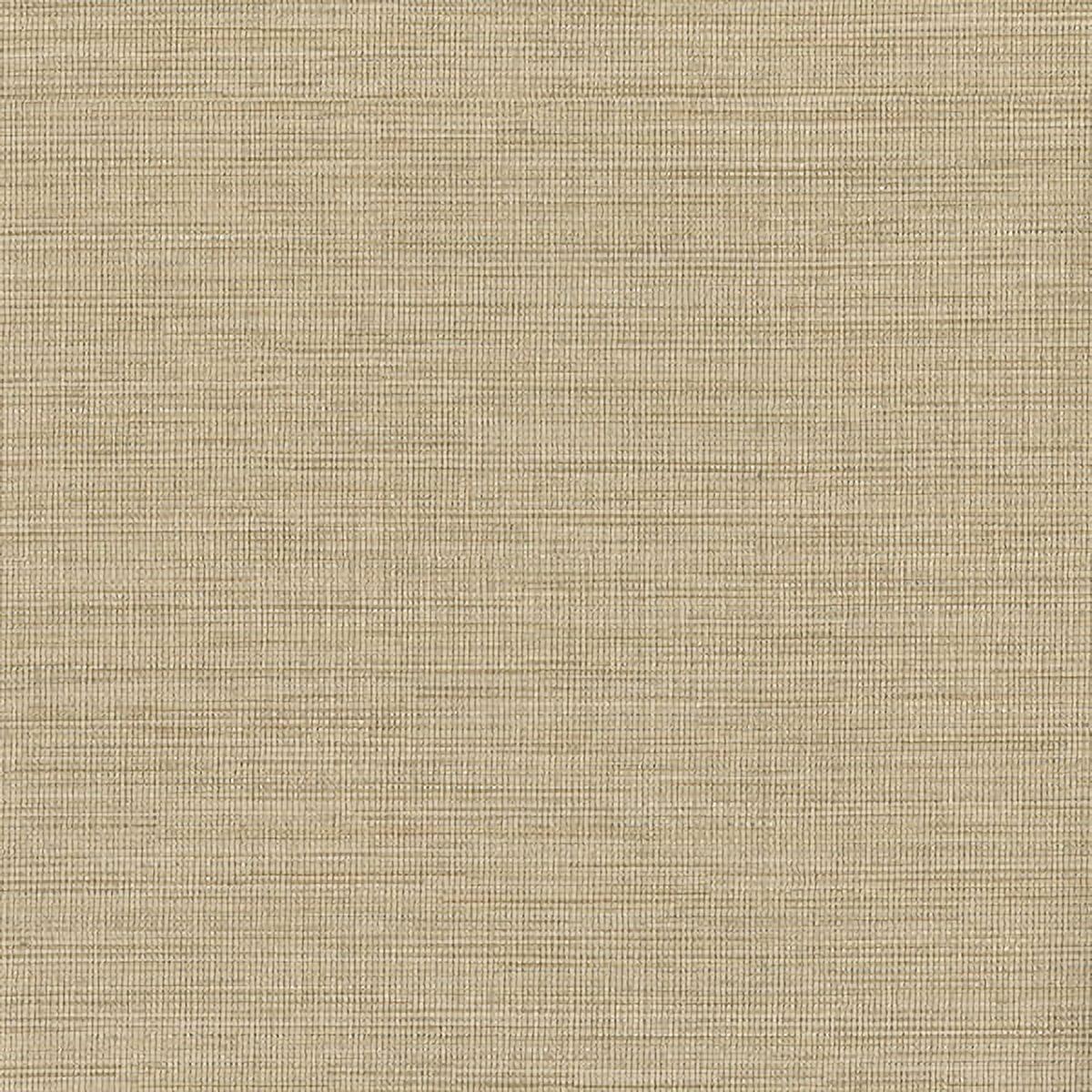 Taupe Vinyl-Coated Grasscloth Wallpaper, 27-in by 27-ft