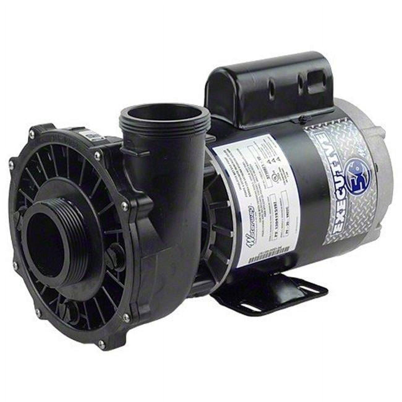 Waterway Plastics 3722021-1D Executive 56 Frame 5 hp Spa Pump, 230-volt Hot Tubs