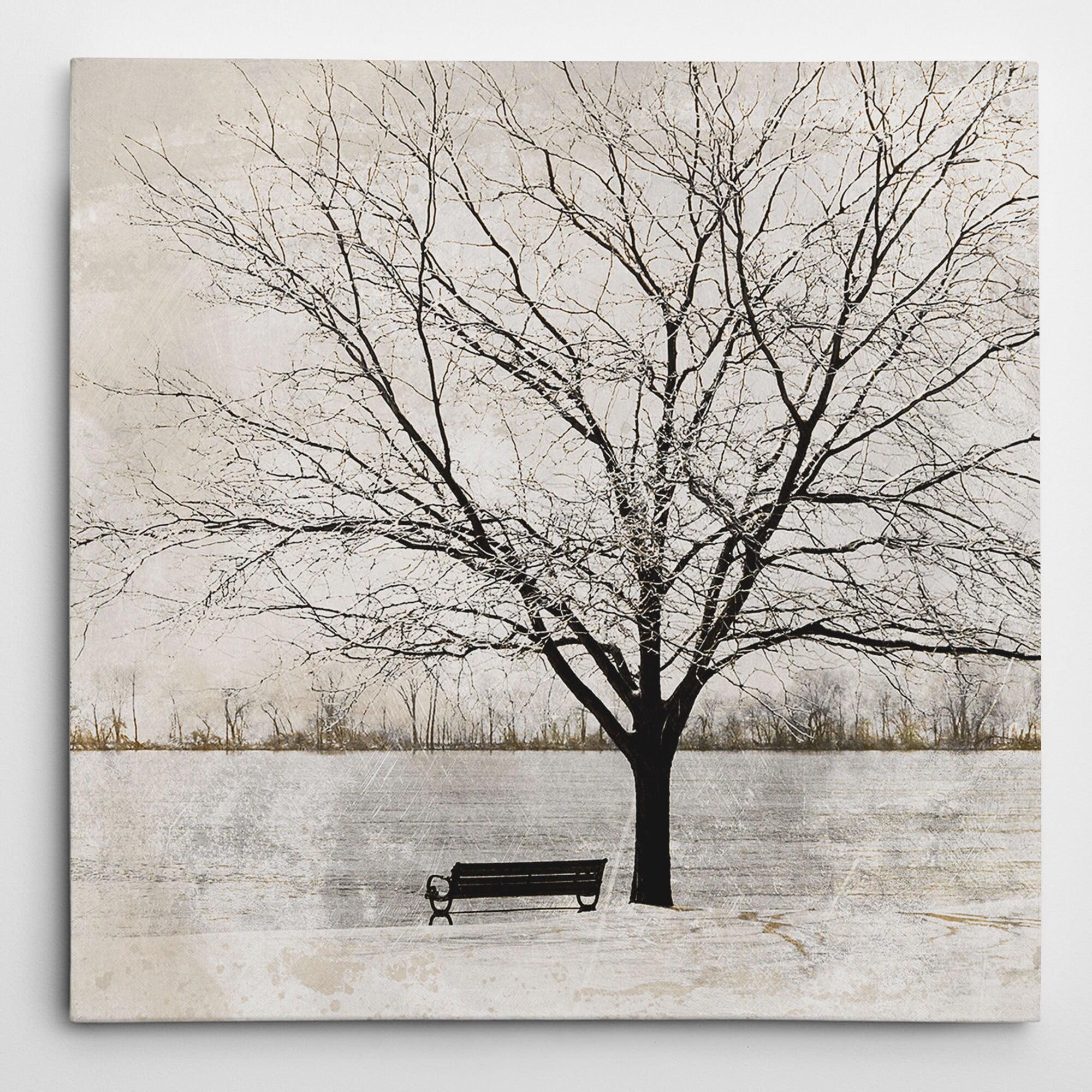 Eugene Tava 'Lonely Tree' 24x24 Canvas Wall Art