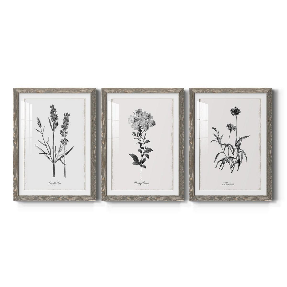 Red Barrel Studio® " Simply Imperial " 3 - Pieces Painting Print