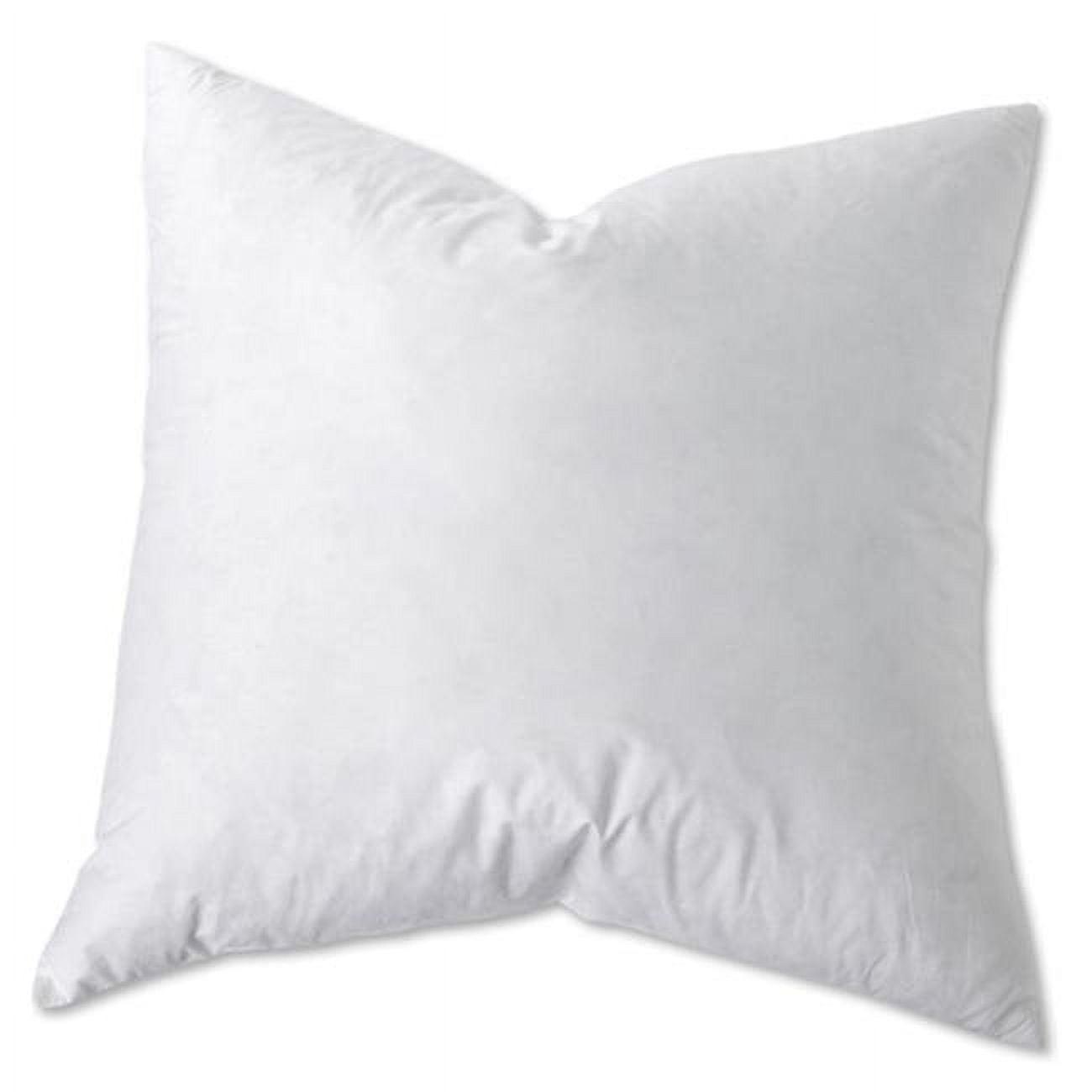 White Goose Down 20 x 20 in. Pillow Set