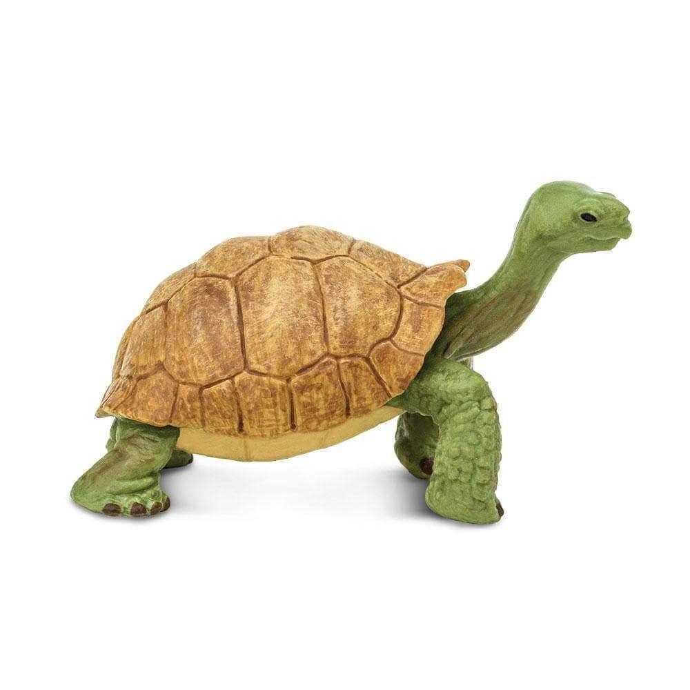 Safari Ltd. Giant Tortoise Figurine - Lifelike 3" Figure - Educational Toy for Boys, Girls, and Kids Ages 3+