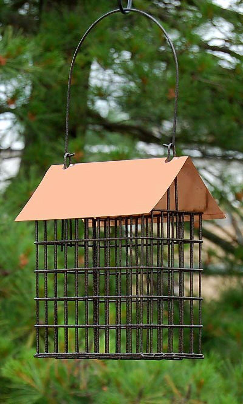 Copper Top Double Suet Cage Hanging Bird Feeder