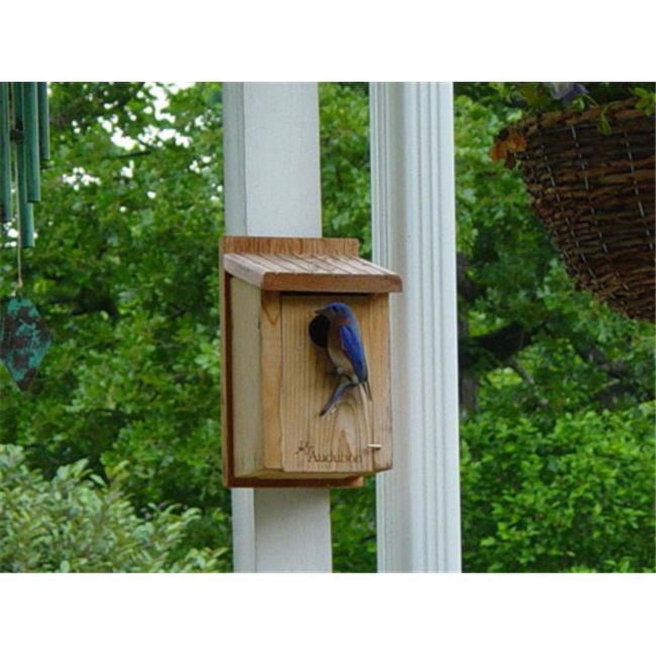 Natural Cedar Bluebird House with Brass Latch