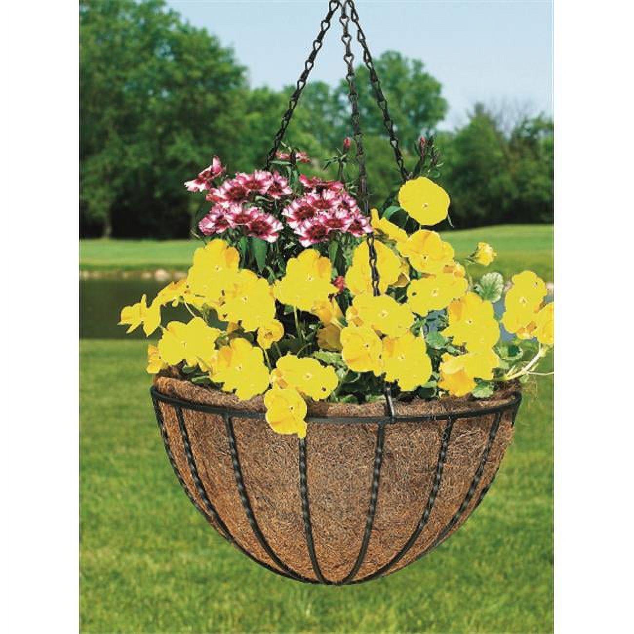 Canterbury 12-Inch Black Metal Hanging Basket with Coco Liner