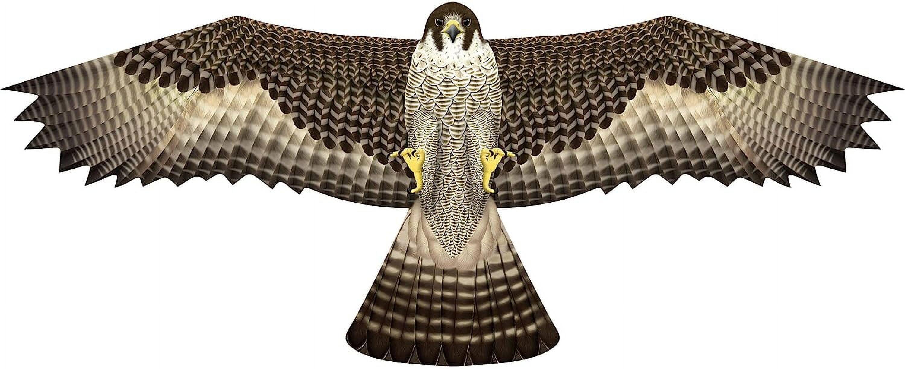 Brain Storm X Kites Birds of Prey Kite 48 Falcon