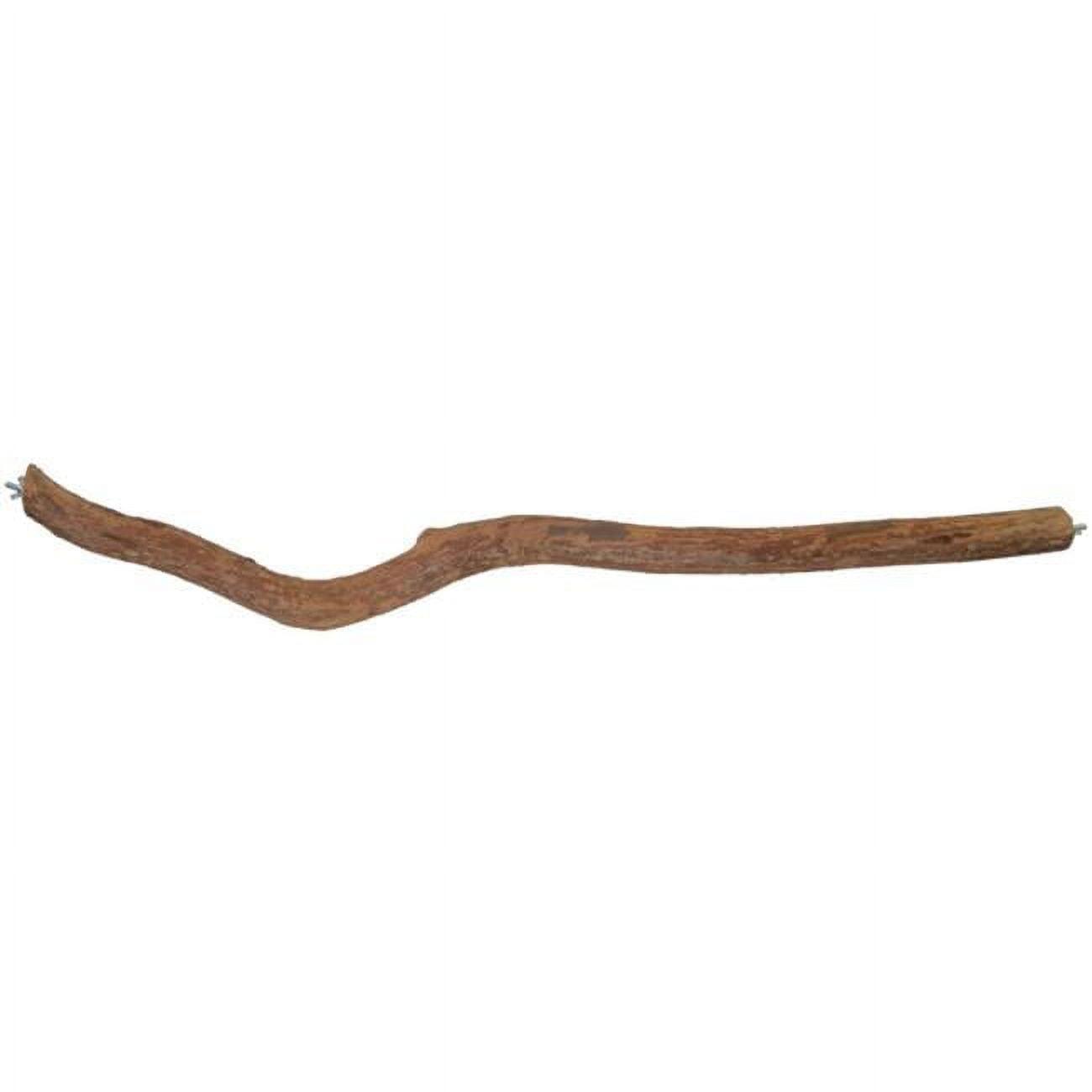 32-Inch Natural Dragonwood Bird Perch with Double Bolt