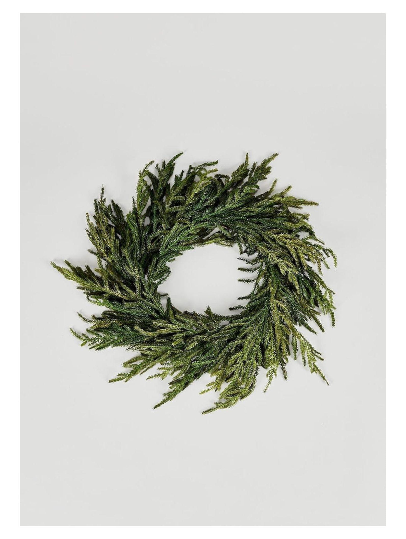 24" Green Artificial Norfolk Pine Christmas Wreath with Grapevine Base