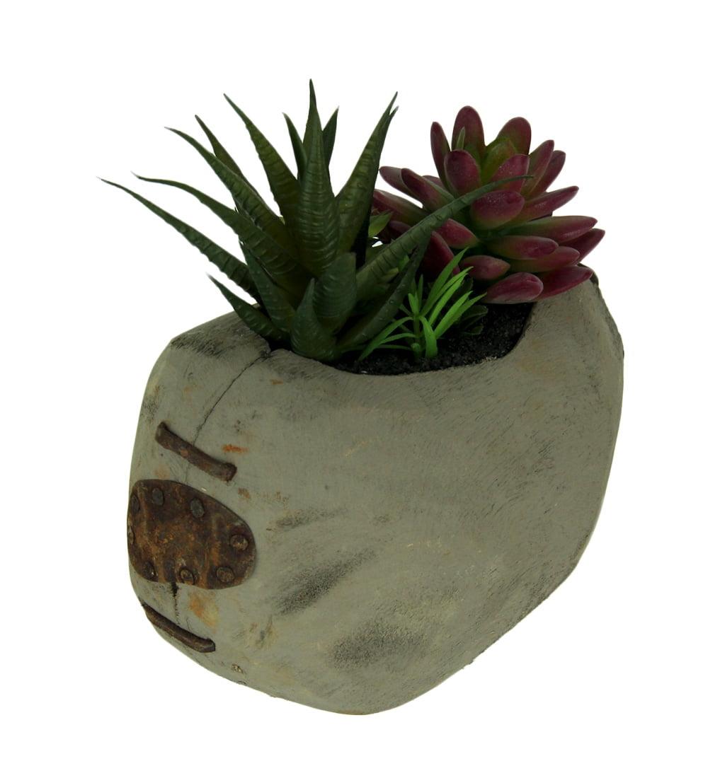 Rustic Grey Wood Pre-Planted Lifelike Succulent Garden