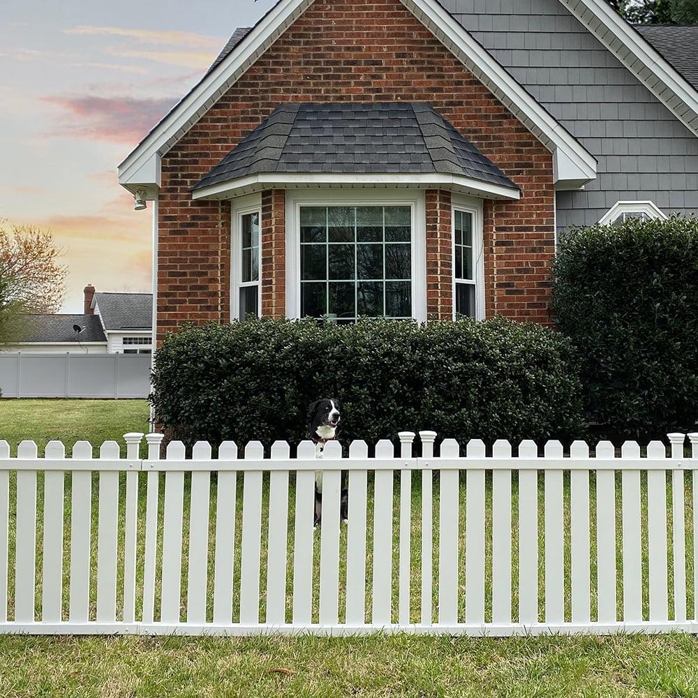 Zippity Outdoor Products 2.5ft H x 3.5ft W (2 Panels) No Dig Zippity Bella Puppy and Garden Fence Kit, No Dig Fence Panels, White Vinyl Fences for Dogs, Temporary Fence for Backyard, White Picket Fence Garden Border, ZP19064
