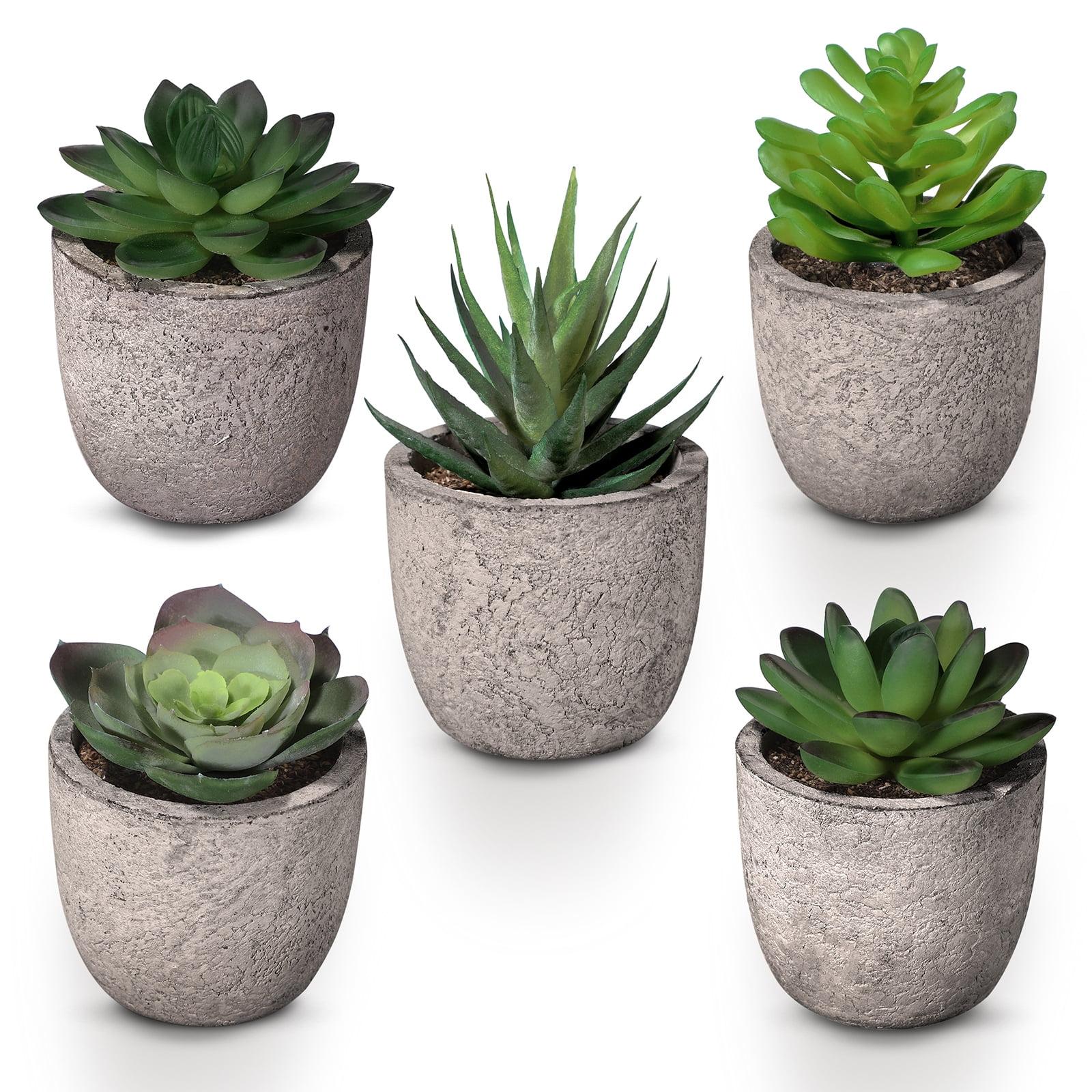 Artificial Succulent Plants Potted, Assorted Decorative Faux Succulent Potted Fake Cactus Cacti Plants With Pots, Set Of 5