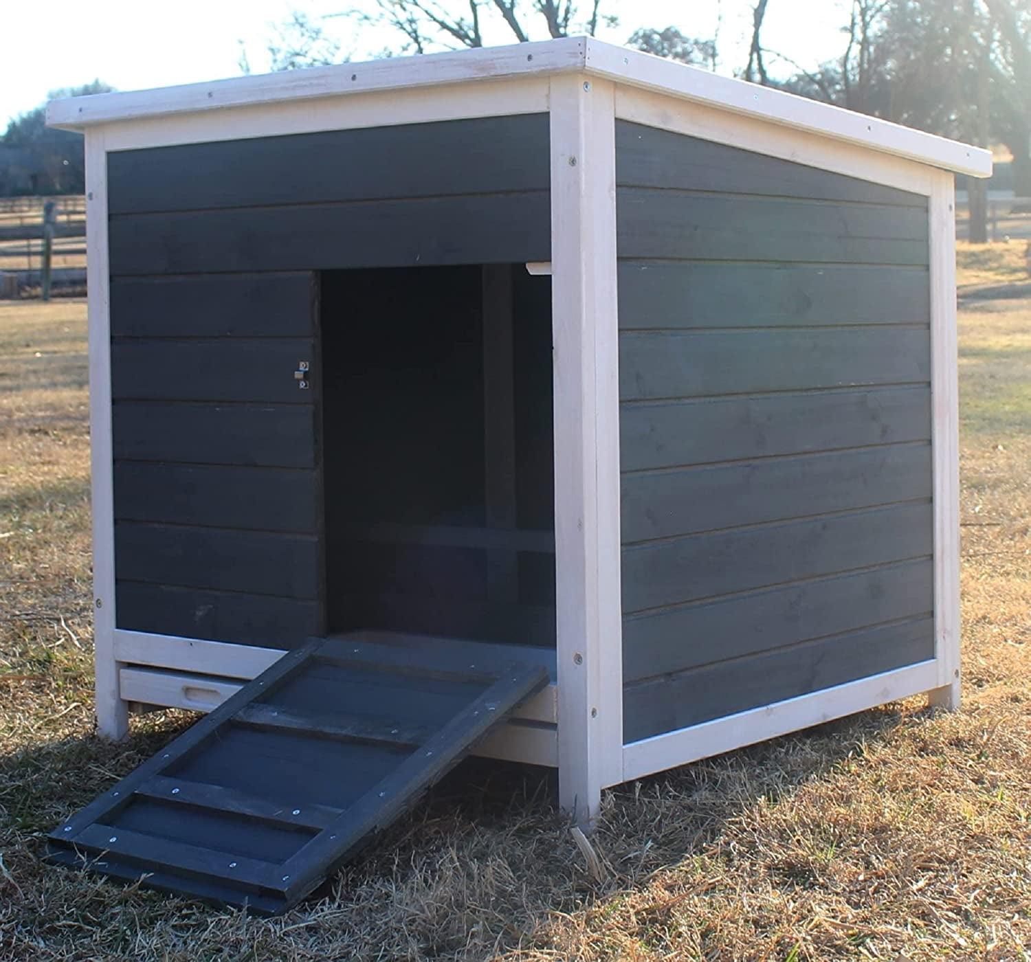 Zylina 6.04 Square Feet Chicken Coop with Nesting Box For Up To 1 Chickens