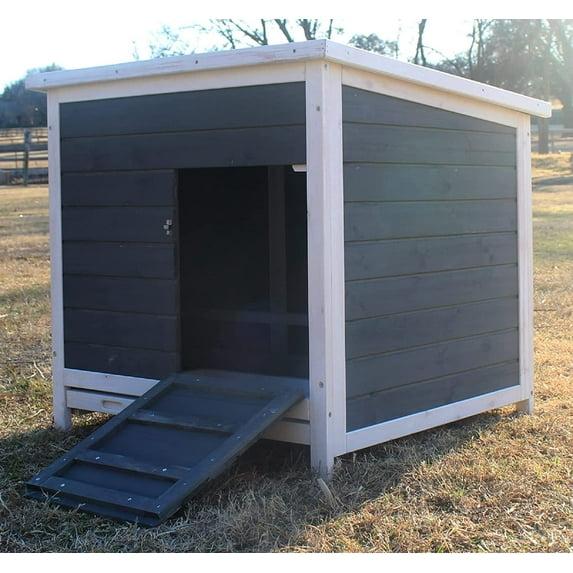 Zylina 6.04 Square Feet Chicken Coop with Nesting Box For Up To 1 Chickens