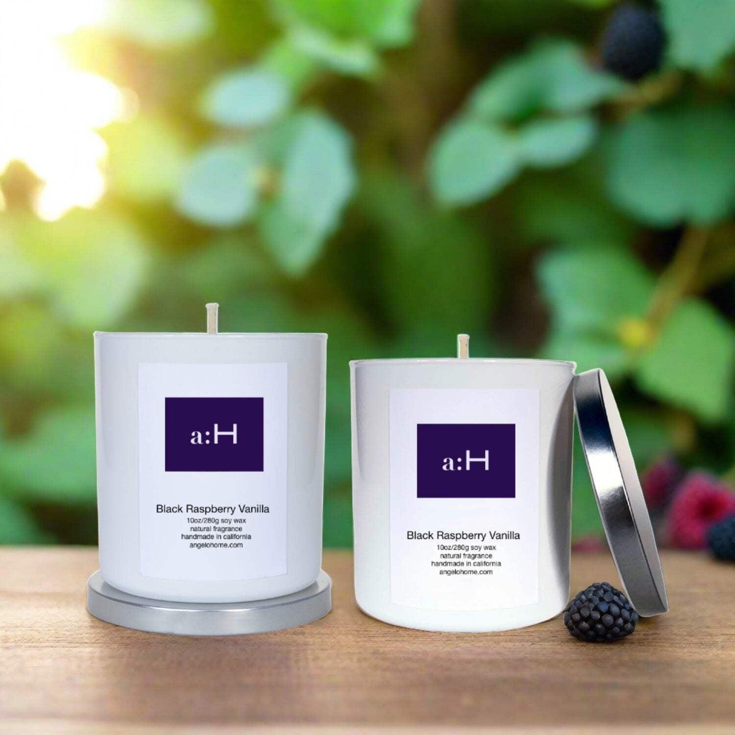 a:H Scented Candle 2pk - Black Raspberry Vanilla