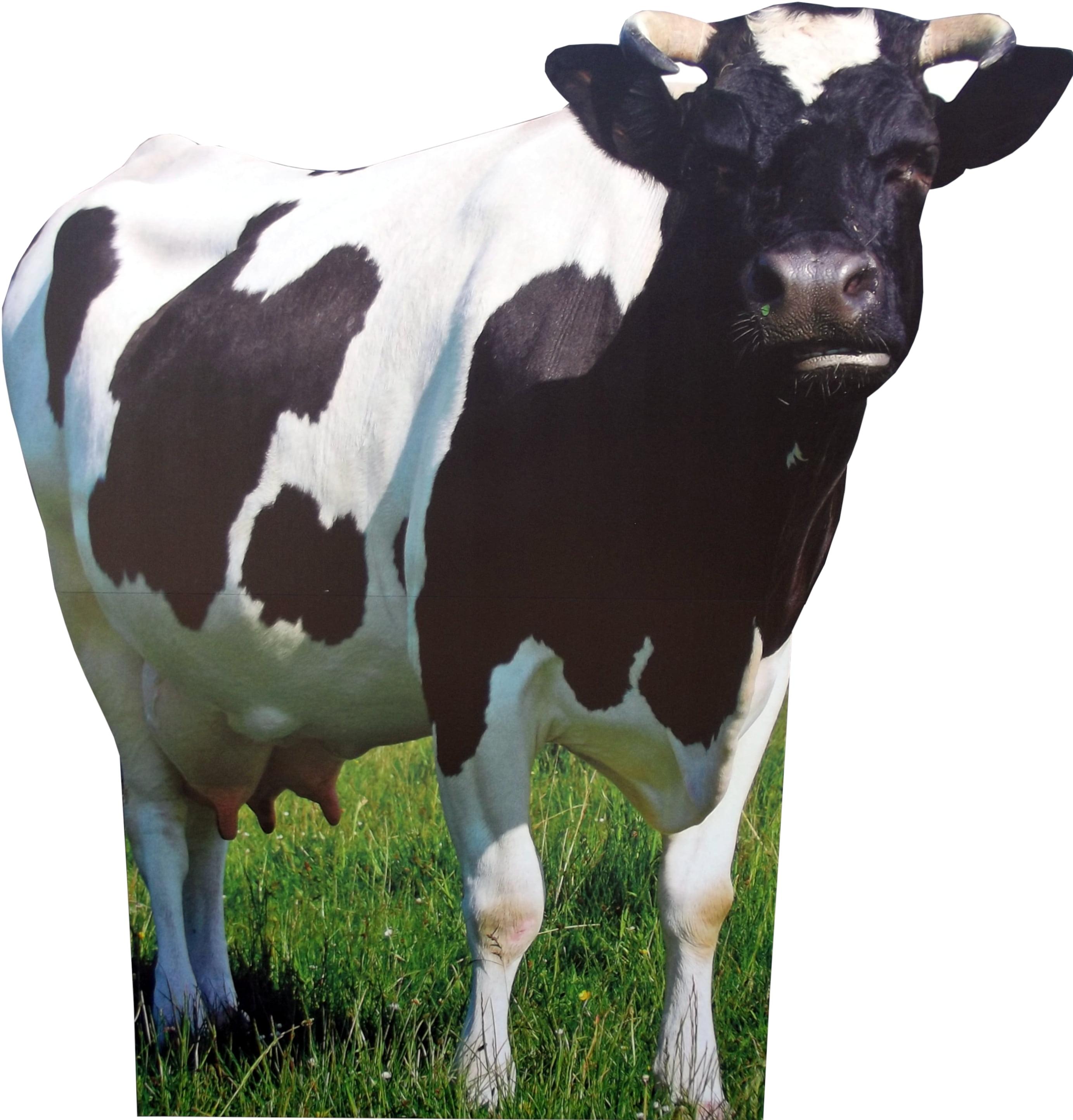 Life Size Black and White Cow Cardboard Cutout Standee