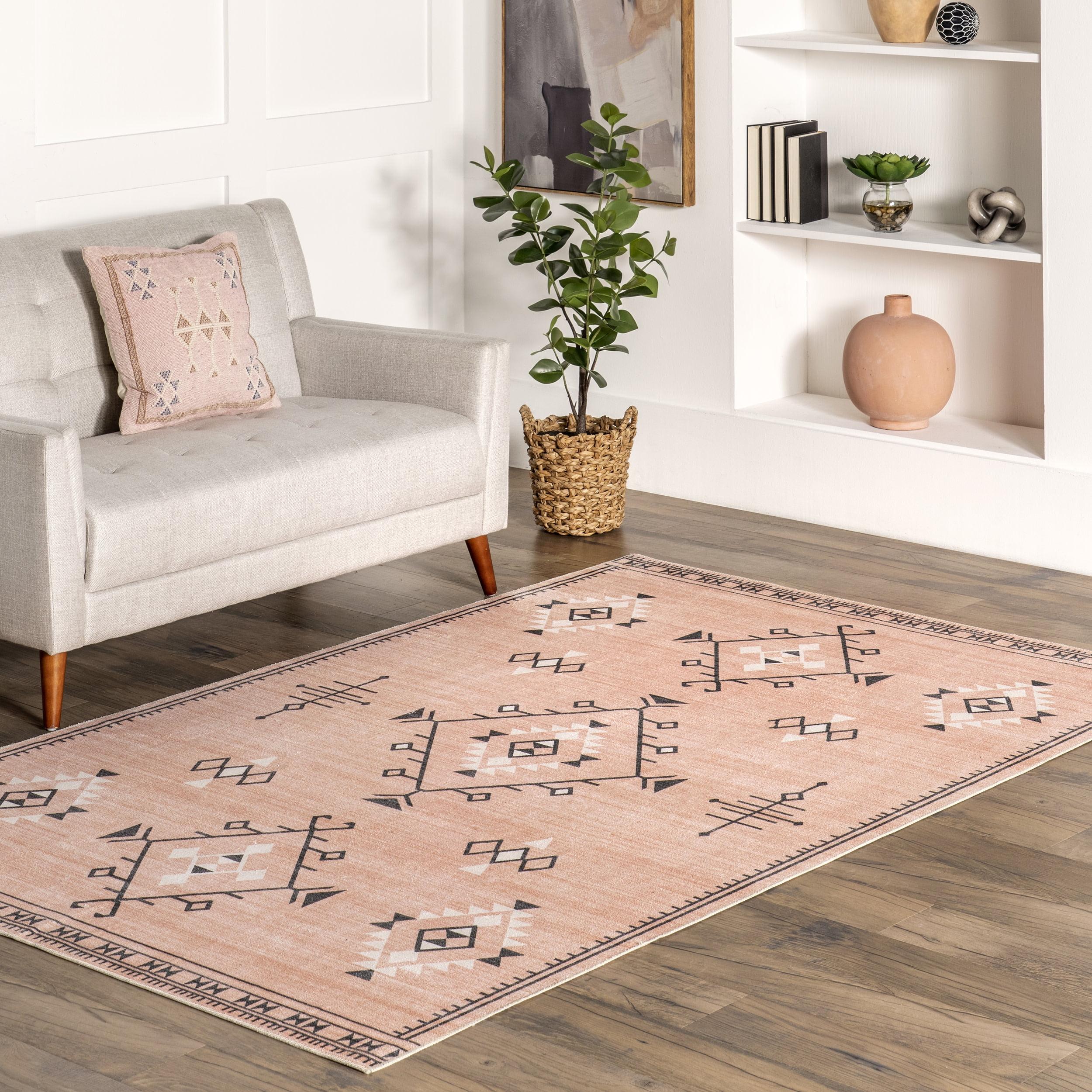 Evalyn Pink Southwestern Washable Synthetic Area Rug 3' x 5'