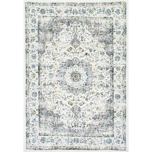 Vintage Paisley 8' x 10' Gray Synthetic Area Rug