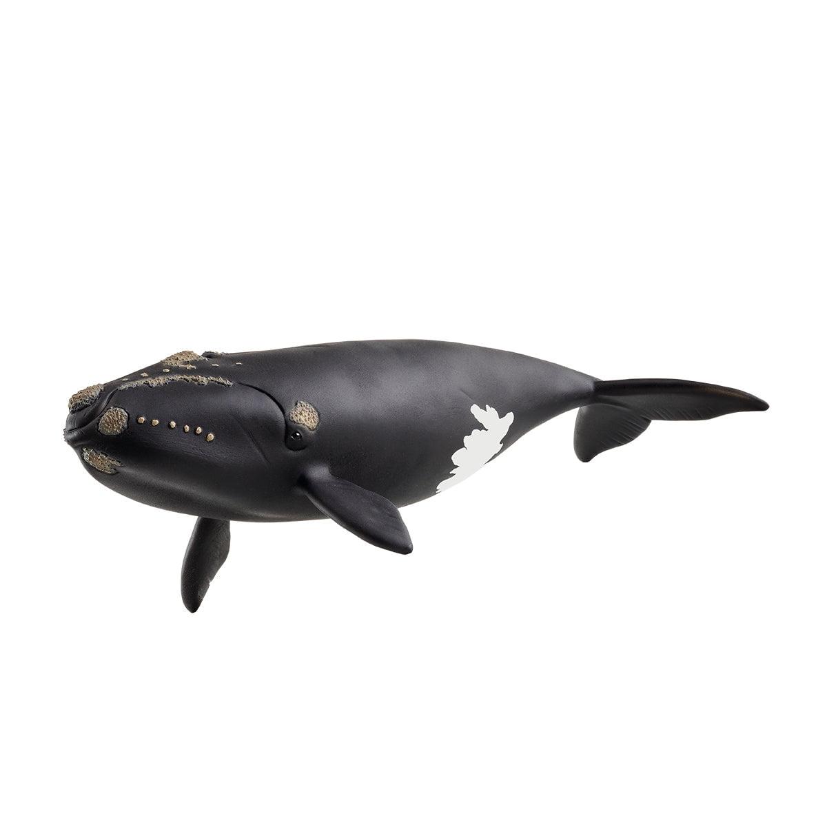 Schleich Wild Life North Atlantic Right Whale