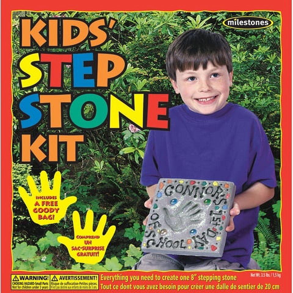 stonecraft Multicolor Decorative Stones 4.1875 lb Bag