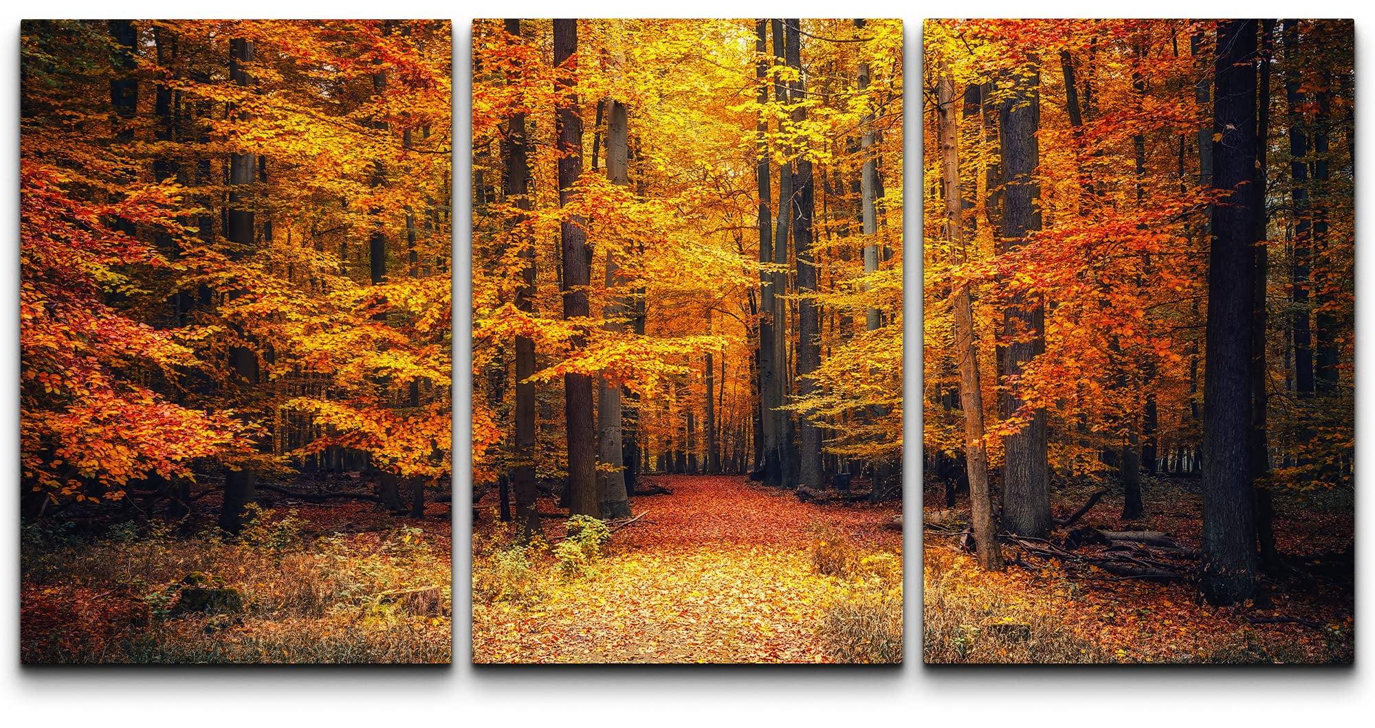 Autumn Pathway 3-Piece Canvas Wall Art Set