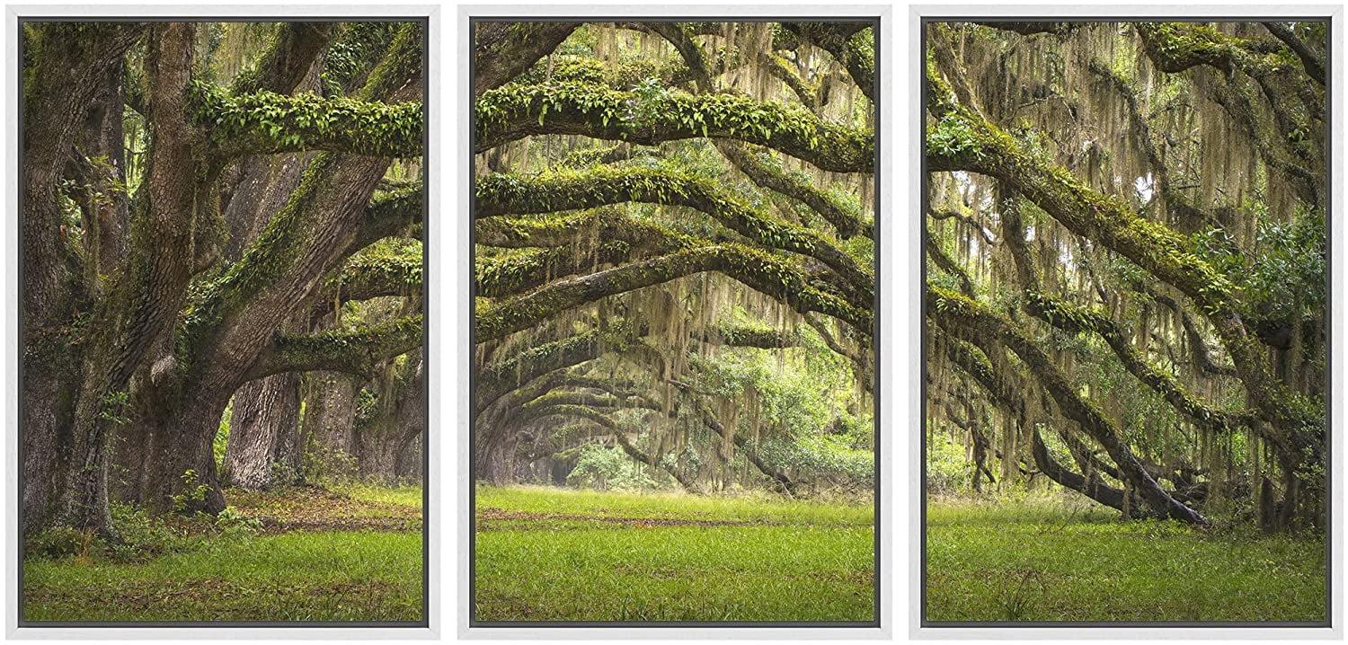 wall26 - 3 Piece Canvas Wall Art - Oaks Avenue Charleston SC Plantation Live Oak Trees Forest Landscape - Modern Home Art Stretched and Framed Ready to Hang - 24"x36"x3 Panels