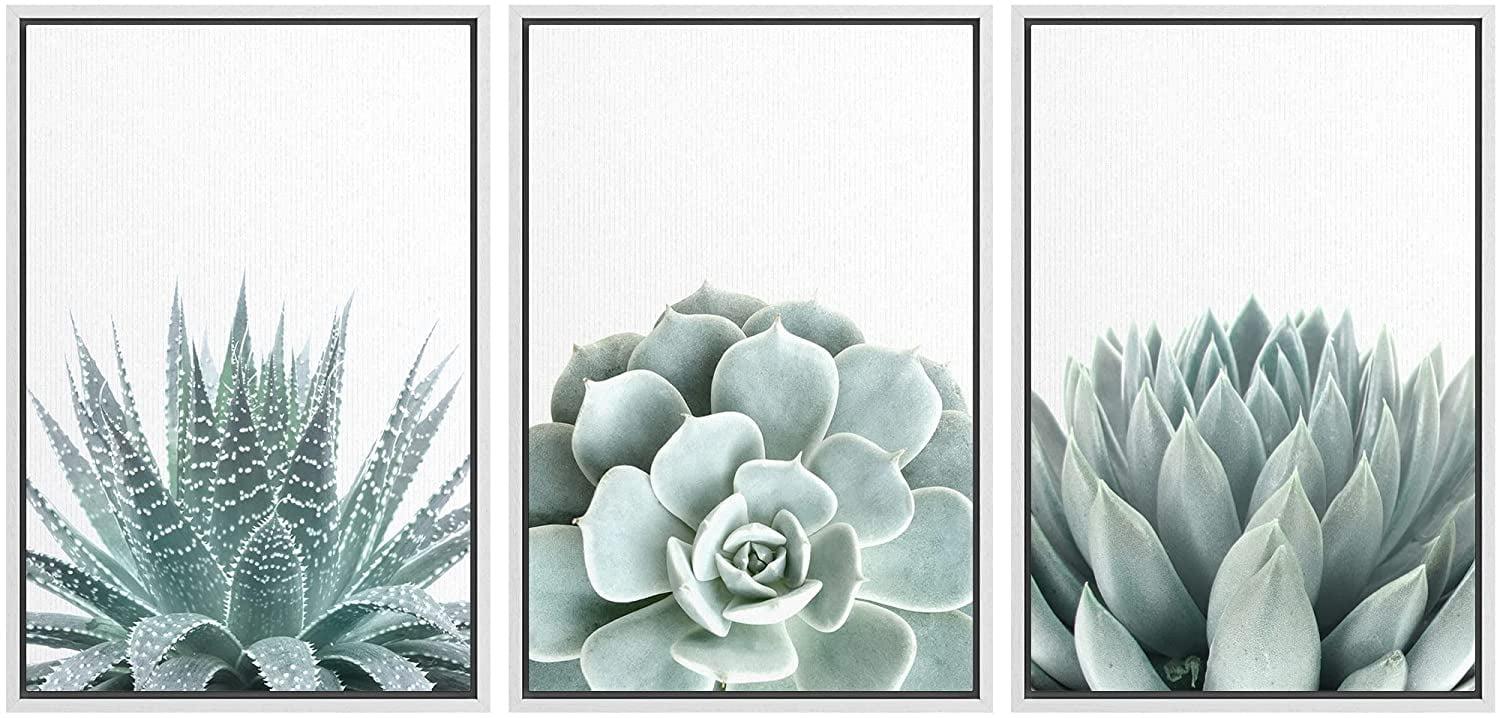 IDEA4WALL Succulent " Green Succulent And Cactus Variety Wilderness Nature " 3 - Pieces