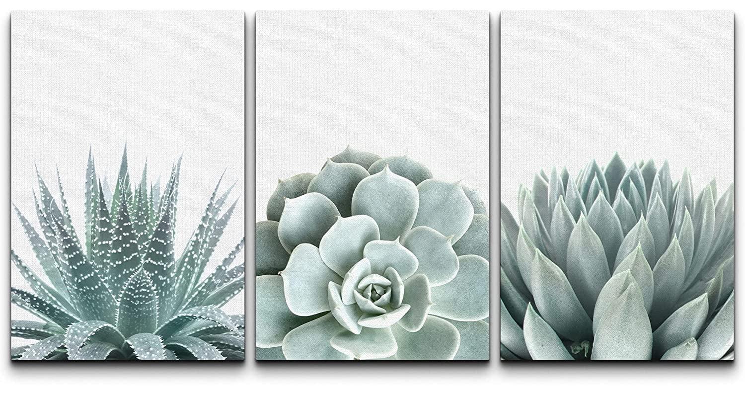 IDEA4WALL Succulent " Green Succulent And Cactus Variety Wilderness Nature " 3 - Pieces