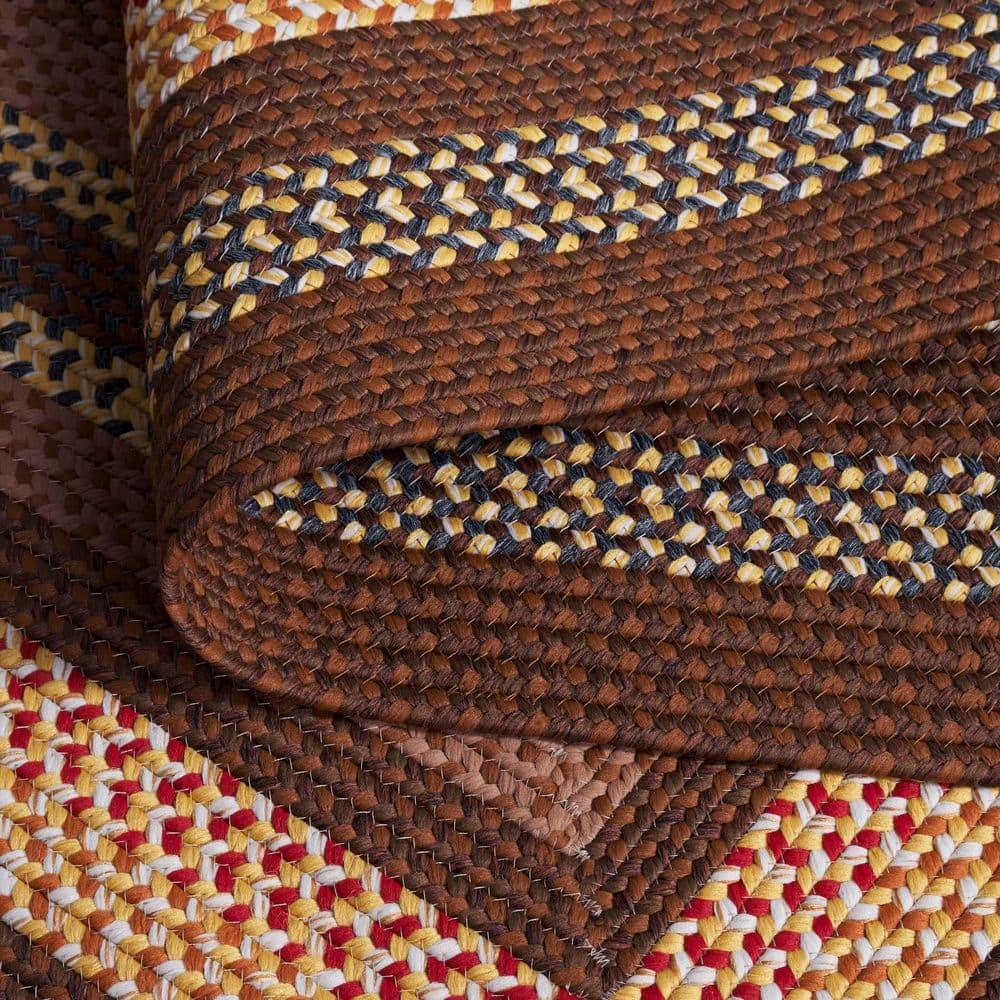 SAFAVIEH Braided Angel Bordered Machine Washable Reversible Area Rug, Brown/Light Brown, 2' x 3'