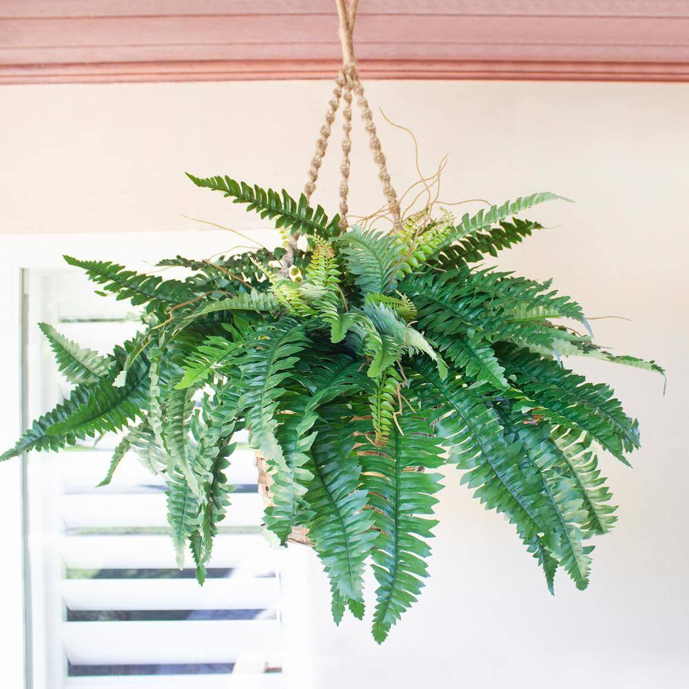 Nearly Natural Boston Fern Silk Hanging Basket