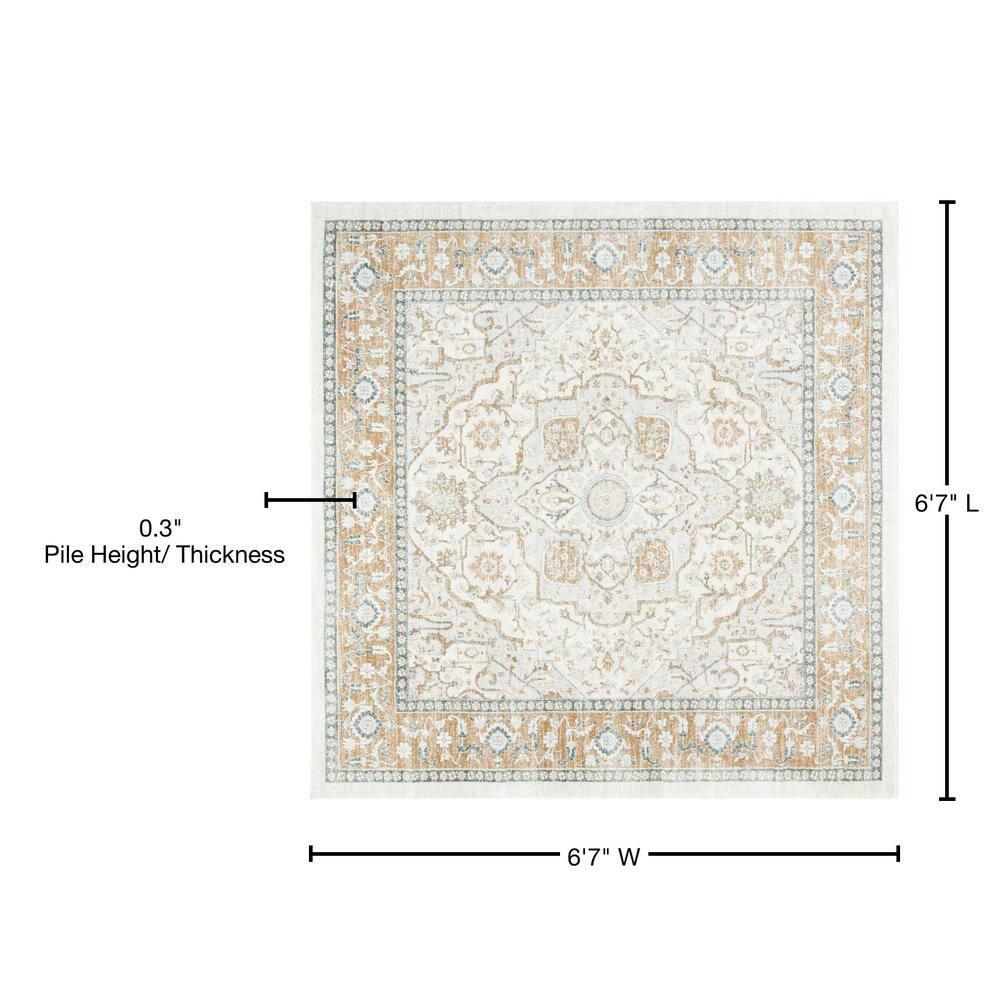 Isabella ISA936 Power Loomed Area Rug - Cream/Beige - 6'7"x6'7" - Safavieh.