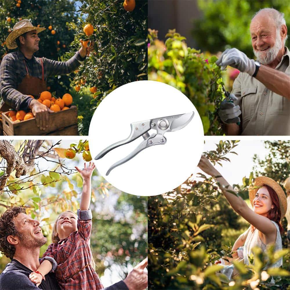 TONMA Pruning Shears for Gardening [Made in Japan] 8 Inch Bypass Garden Scissors Secateurs, Premium Japanese Gardening Tools Hand Pruner Clippers with Ergonomic Handle