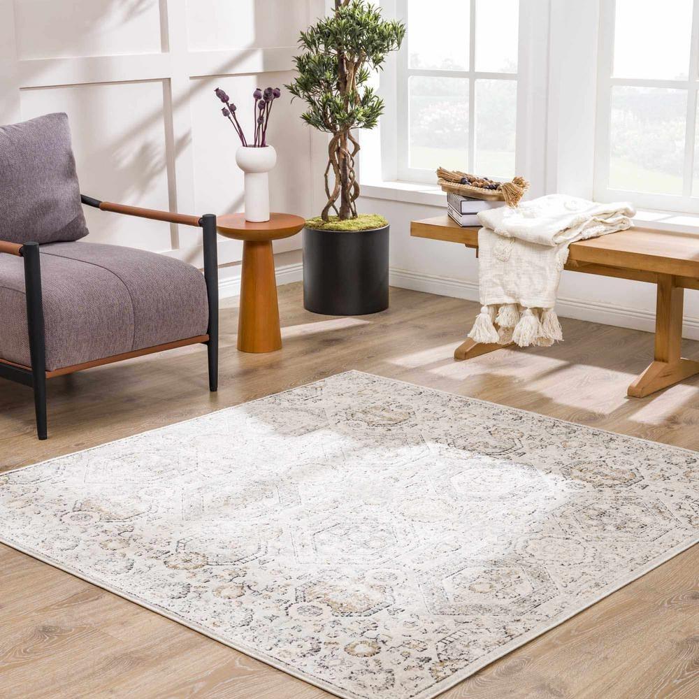 Hauteloom Rectangle Area Rug   Charcoal