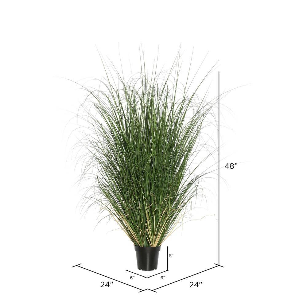 Vickerman 48" Artificial Potted Green Curled Grass. In a 6"Lx6"Wx5"H base.