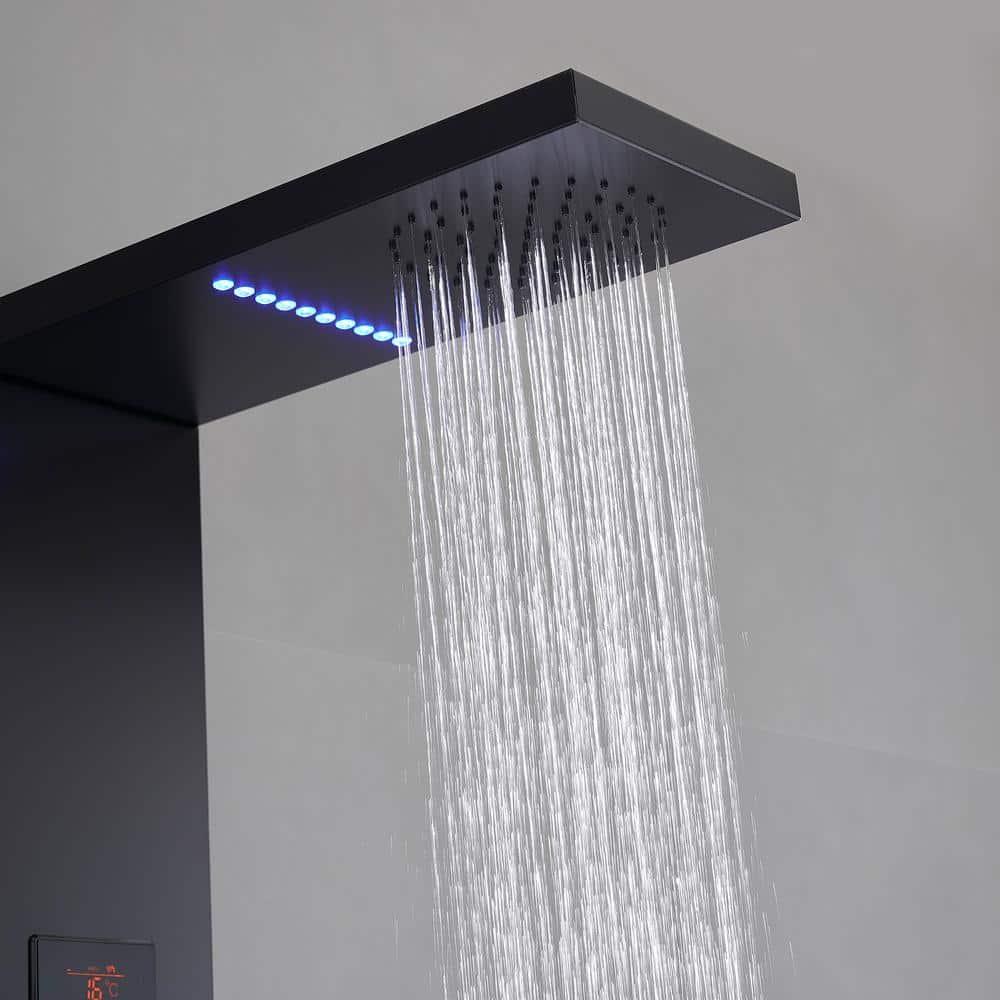 56.93'' Shower Panel with Fixed Shower Head
