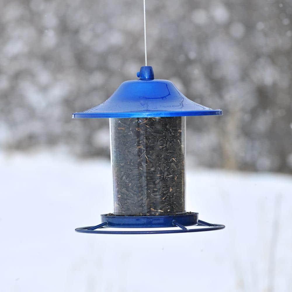 Perky-Pet Wild Bird 2 lb Metal/Plastic Panorama Bird Feeder 1 ports (Case of 2)