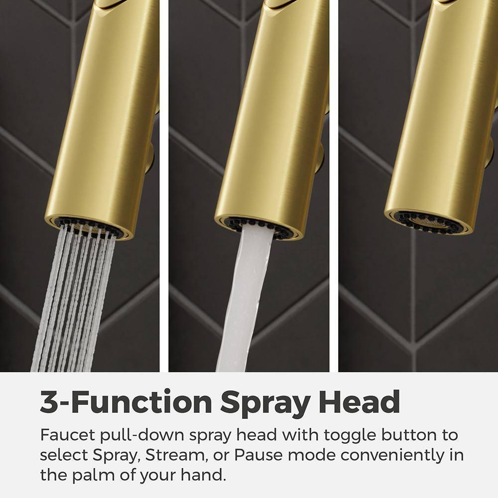 Ceylon Single Handle Culinary Pull Down Sprayer Kitchen Faucet in Brushed Gold