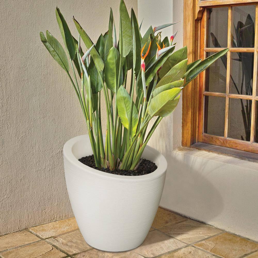 20 in. Modesto Round Planter, White